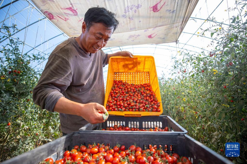 皇冠菠菜游戏